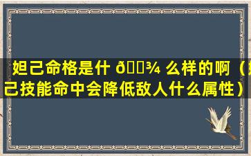 妲己命格是什 🌾 么样的啊（妲己技能命中会降低敌人什么属性）